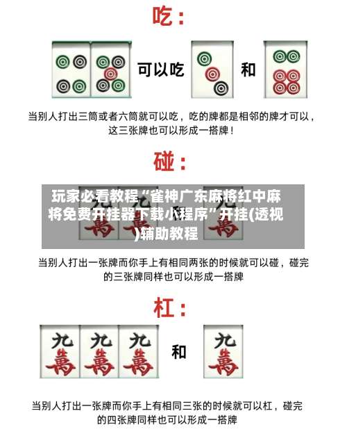 玩家必看教程“雀神广东麻将红中麻将免费开挂器下载小程序”开挂(透视)辅助教程-第1张图片