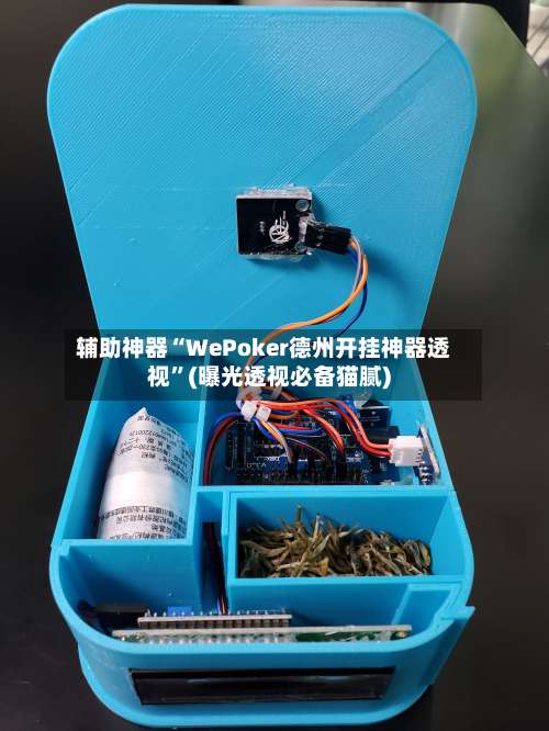 辅助神器“WePoker德州开挂神器透视	”(曝光透视必备猫腻)-第2张图片