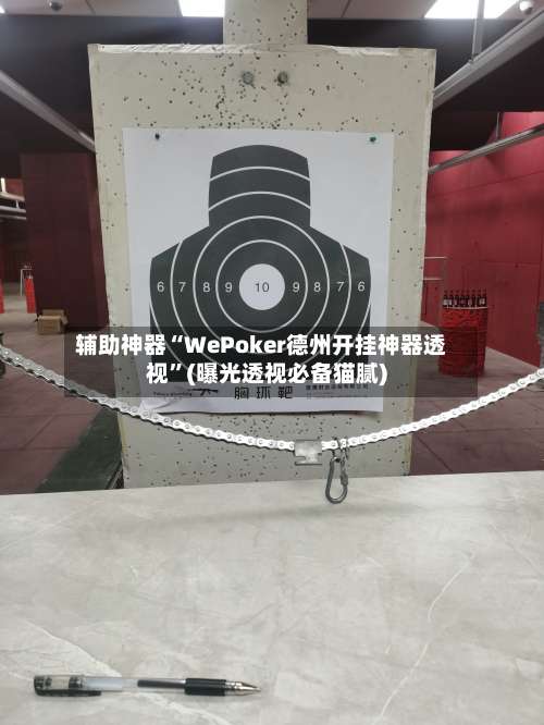 辅助神器“WePoker德州开挂神器透视”(曝光透视必备猫腻)-第3张图片