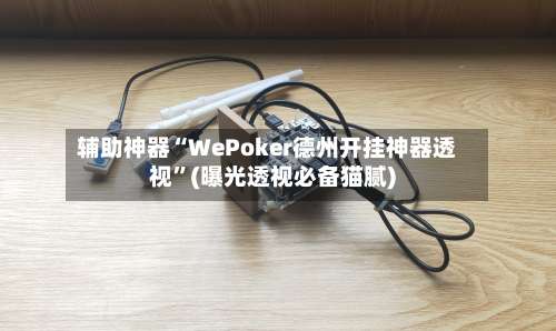 辅助神器“WePoker德州开挂神器透视”(曝光透视必备猫腻)-第1张图片