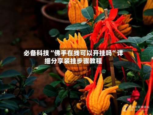 必备科技“佛手在线可以开挂吗”详细分享装挂步骤教程-第3张图片