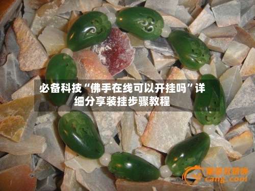 必备科技“佛手在线可以开挂吗	”详细分享装挂步骤教程-第2张图片