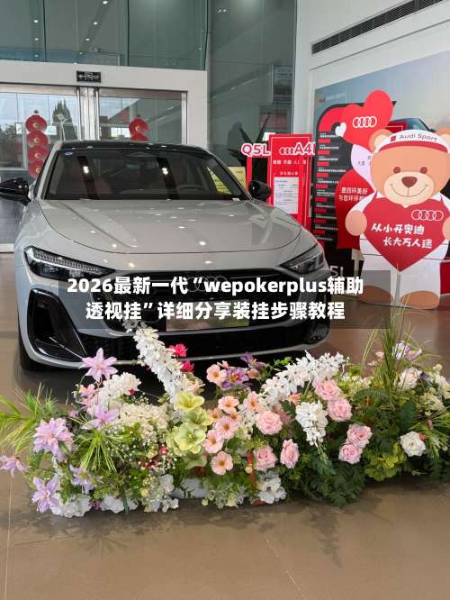 2026最新一代“wepokerplus辅助透视挂”详细分享装挂步骤教程-第1张图片