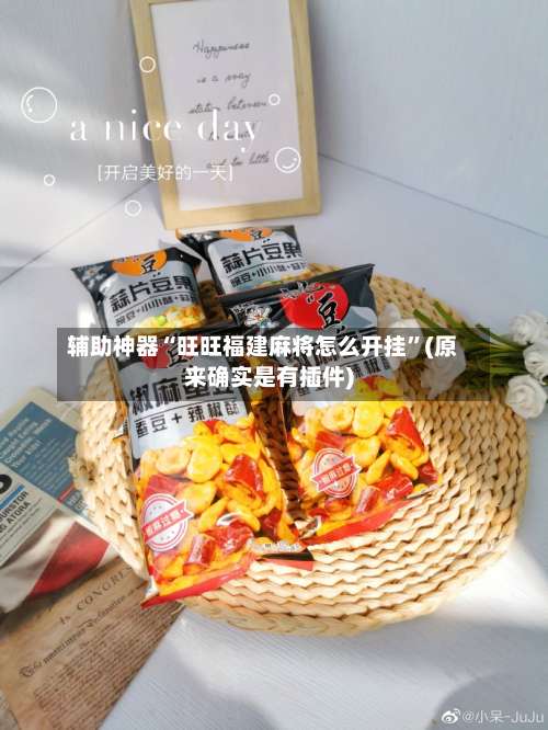 辅助神器“旺旺福建麻将怎么开挂	”(原来确实是有插件)-第2张图片