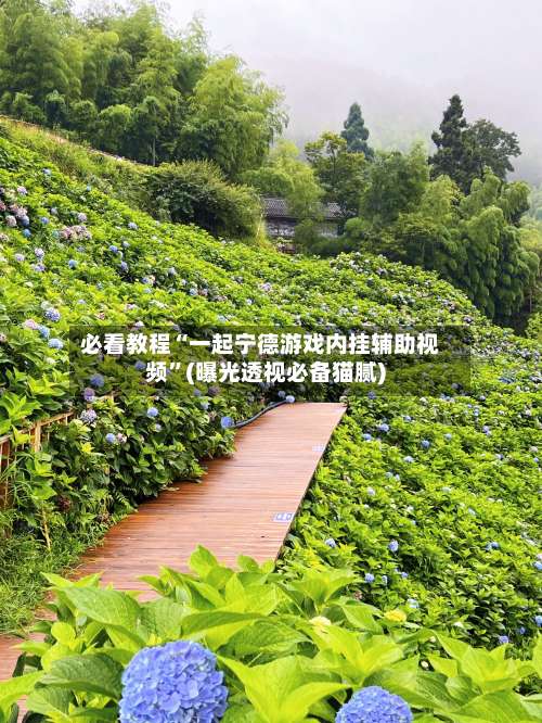 必看教程“一起宁德游戏内挂辅助视频	”(曝光透视必备猫腻)-第2张图片