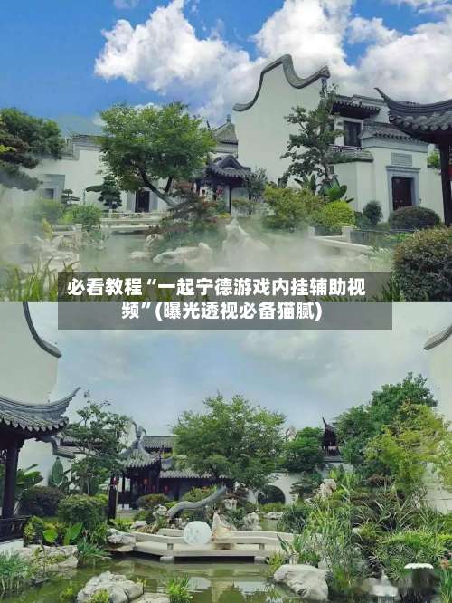 必看教程“一起宁德游戏内挂辅助视频”(曝光透视必备猫腻)-第1张图片