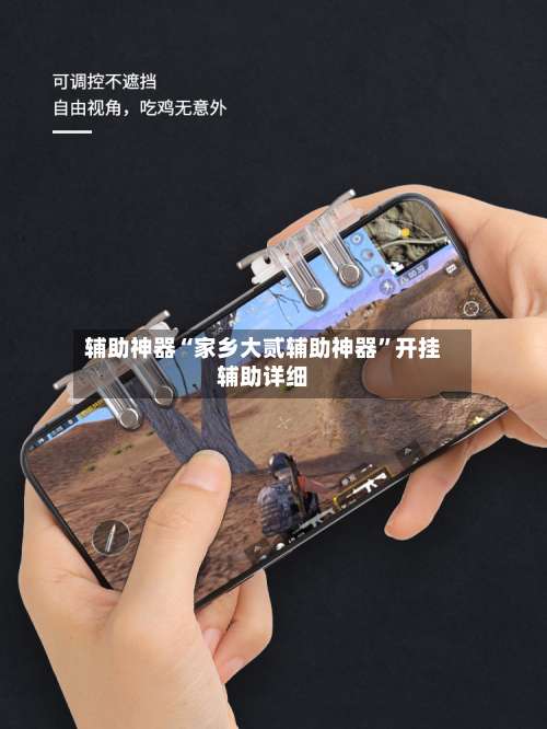 辅助神器“家乡大贰辅助神器	”开挂辅助详细-第1张图片