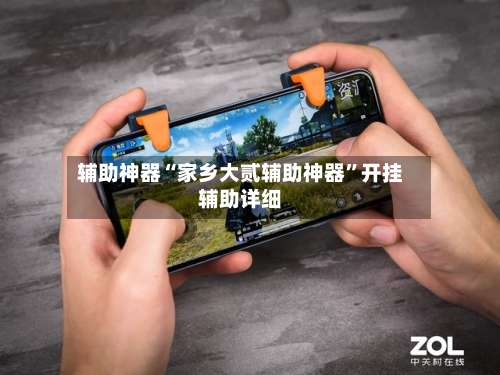 辅助神器“家乡大贰辅助神器”开挂辅助详细-第2张图片