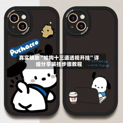 真实辅助“哈狗十三道透视开挂”详细分享装挂步骤教程-第3张图片