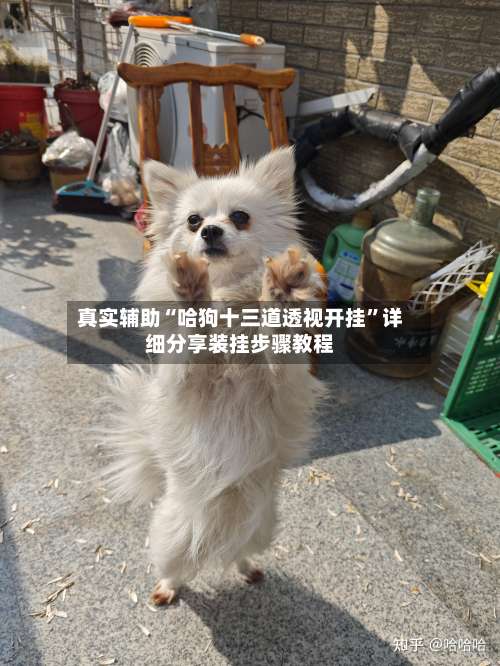 真实辅助“哈狗十三道透视开挂”详细分享装挂步骤教程-第2张图片