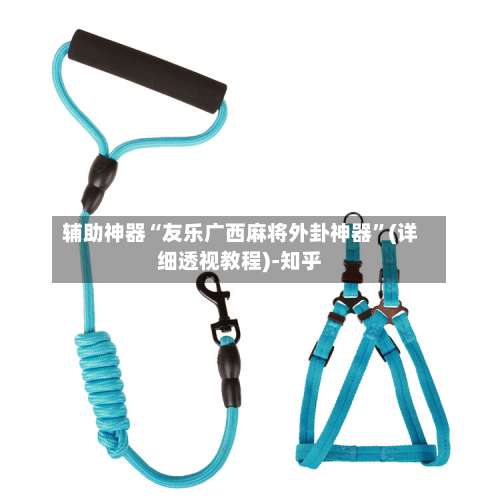 辅助神器“友乐广西麻将外卦神器”(详细透视教程)-知乎-第1张图片