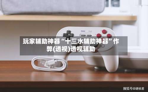 玩家辅助神器“十三水辅助神器”作弊(透视)透视辅助-第1张图片