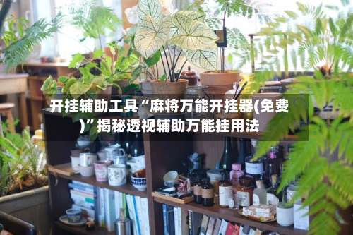 开挂辅助工具“麻将万能开挂器(免费)”揭秘透视辅助万能挂用法-第2张图片