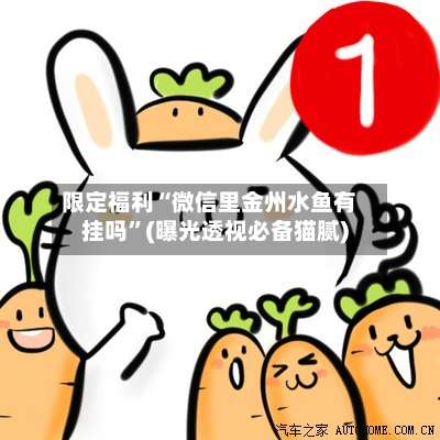 限定福利“微信里金州水鱼有挂吗”(曝光透视必备猫腻)-第1张图片