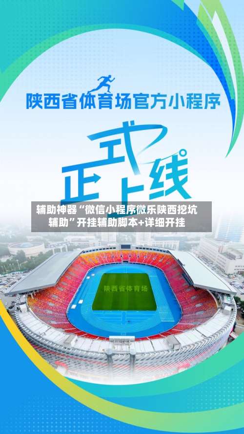 辅助神器“微信小程序微乐陕西挖坑辅助”开挂辅助脚本+详细开挂-第2张图片