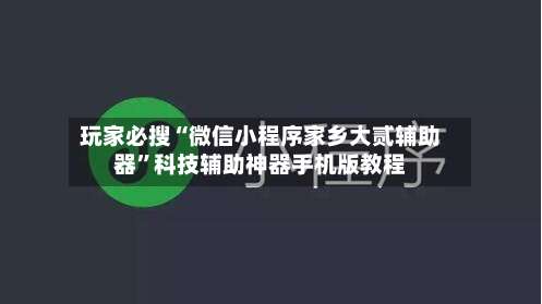 玩家必搜“微信小程序家乡大贰辅助器	”科技辅助神器手机版教程-第2张图片