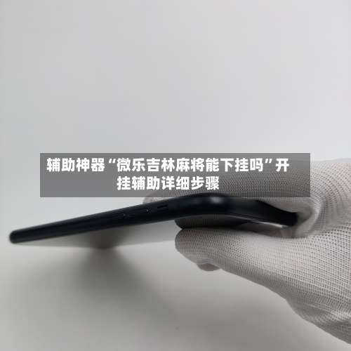 辅助神器“微乐吉林麻将能下挂吗	”开挂辅助详细步骤-第3张图片