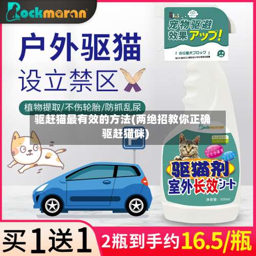 驱赶猫最有效的方法(两绝招教你正确驱赶猫咪)-第1张图片