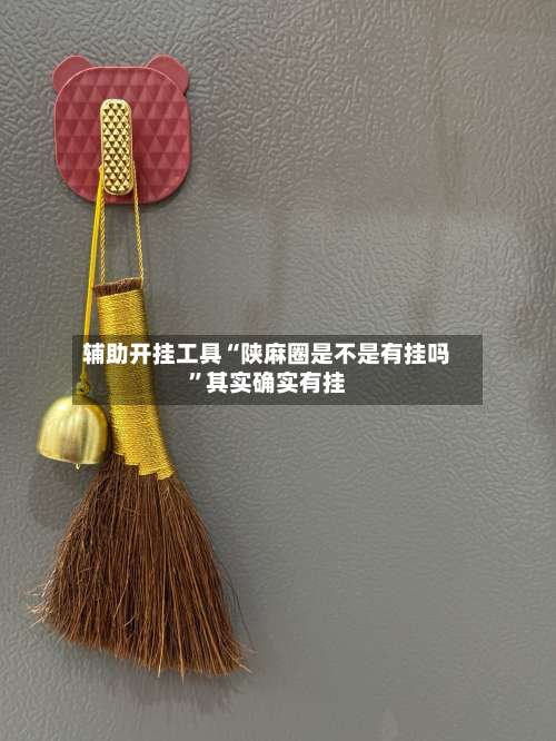 辅助开挂工具“陕麻圈是不是有挂吗”其实确实有挂-第1张图片