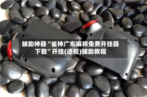 辅助神器“雀神广东麻将免费开挂器下载”开挂(透视)辅助教程-第1张图片