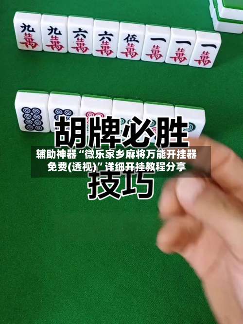 辅助神器“微乐家乡麻将万能开挂器免费(透视)”详细开挂教程分享-第1张图片