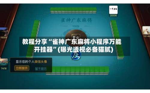 教程分享“雀神广东麻将小程序万能开挂器”(曝光透视必备猫腻)-第3张图片