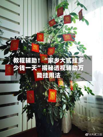 教程辅助！“家乡大贰挂多少钱一天”揭秘透视辅助万能挂用法-第1张图片