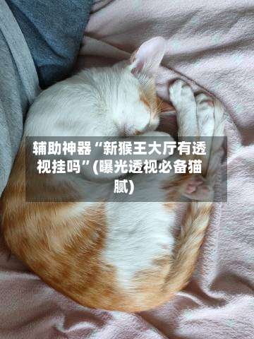 辅助神器“新猴王大厅有透视挂吗”(曝光透视必备猫腻)-第3张图片