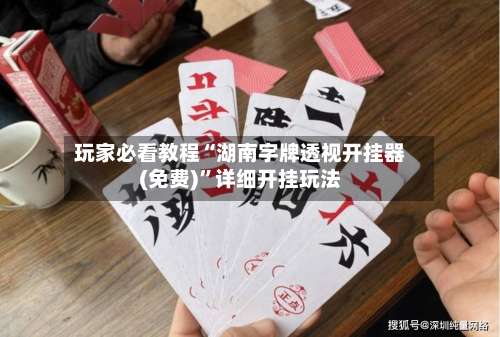 玩家必看教程“湖南字牌透视开挂器(免费)	”详细开挂玩法-第2张图片