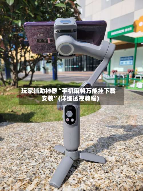 玩家辅助神器“手机麻将万能挂下载安装”(详细透视教程)-第3张图片