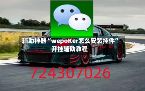 辅助神器“wepoKer怎么安装挂件”开挂辅助教程-第2张图片