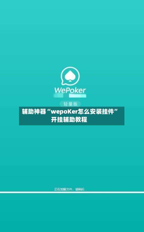 辅助神器“wepoKer怎么安装挂件”开挂辅助教程-第3张图片