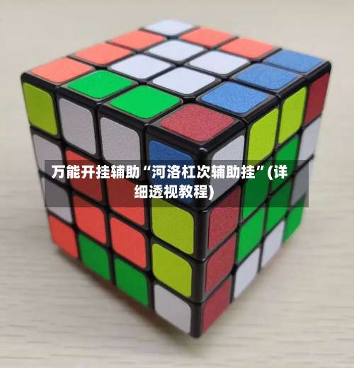 万能开挂辅助“河洛杠次辅助挂	”(详细透视教程)-第2张图片