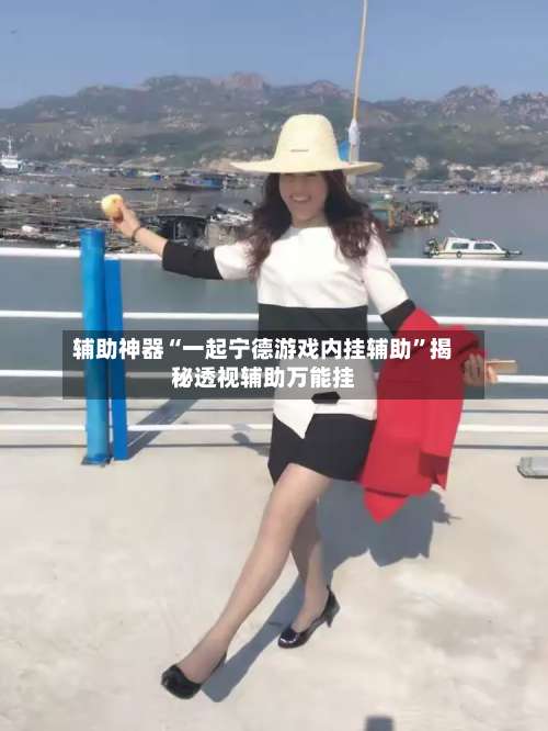 辅助神器“一起宁德游戏内挂辅助”揭秘透视辅助万能挂-第1张图片