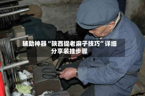 辅助神器“陕西捉老麻子技巧”详细分享装挂步骤-第2张图片