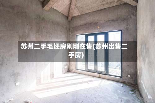苏州二手毛坯房刚刚在售(苏州出售二手房)-第3张图片