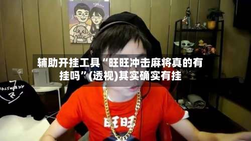 辅助开挂工具“旺旺冲击麻将真的有挂吗”(透视)其实确实有挂-第1张图片