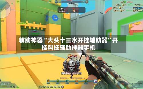 辅助神器“大头十三水开挂辅助器”开挂科技辅助神器手机-第1张图片