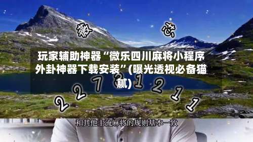 玩家辅助神器“微乐四川麻将小程序外卦神器下载安装”(曝光透视必备猫腻)-第3张图片