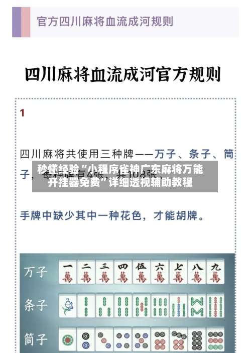 秒懂经验“小程序雀神广东麻将万能开挂器免费”详细透视辅助教程-第1张图片