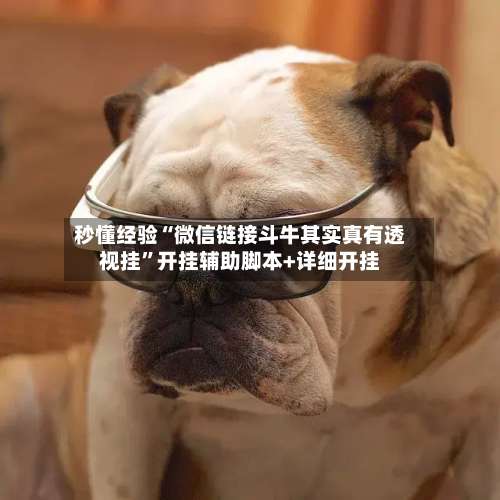 秒懂经验“微信链接斗牛其实真有透视挂”开挂辅助脚本+详细开挂-第1张图片