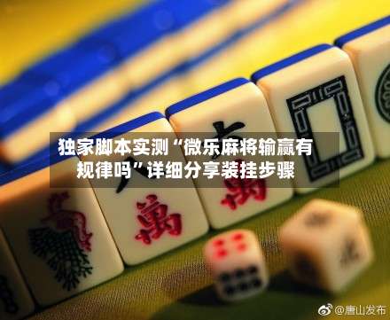 独家脚本实测“微乐麻将输赢有规律吗”详细分享装挂步骤-第1张图片