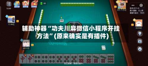 辅助神器“功夫川麻微信小程序开挂方法”(原来确实是有插件)-第2张图片