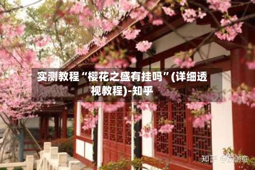 实测教程“樱花之盛有挂吗	”(详细透视教程)-知乎-第1张图片