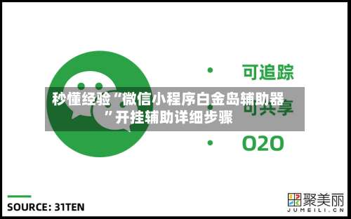 秒懂经验“微信小程序白金岛辅助器”开挂辅助详细步骤-第1张图片