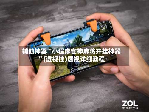 辅助神器“小程序雀神麻将开挂神器”(透视挂)透视详细教程-第2张图片