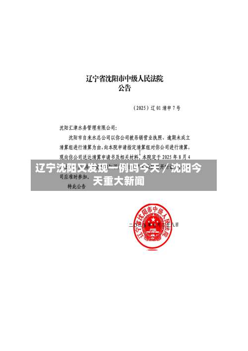 辽宁沈阳又发现一例吗今天／沈阳今天重大新闻-第1张图片