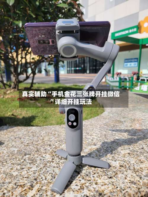 真实辅助“手机金花三张牌开挂微信	”详细开挂玩法-第1张图片