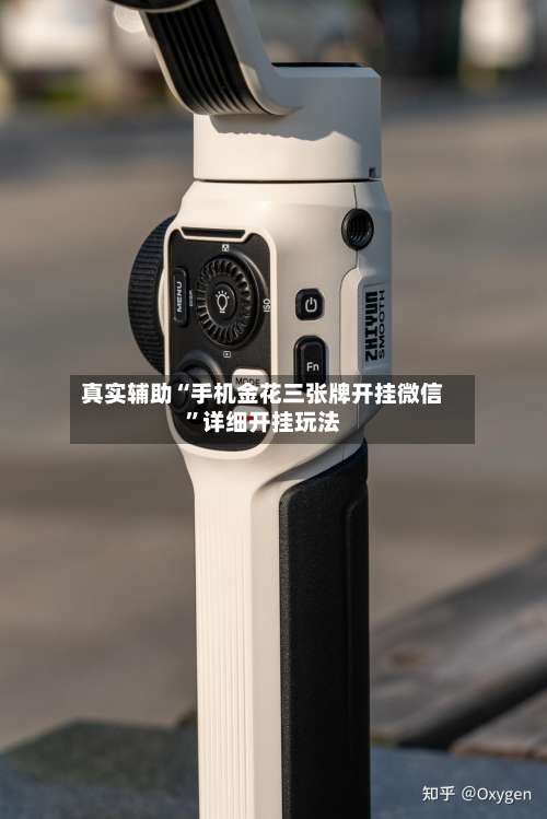 真实辅助“手机金花三张牌开挂微信”详细开挂玩法-第2张图片