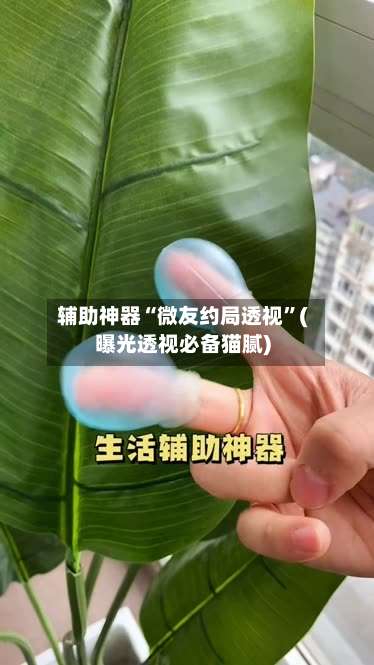 辅助神器“微友约局透视”(曝光透视必备猫腻)-第1张图片